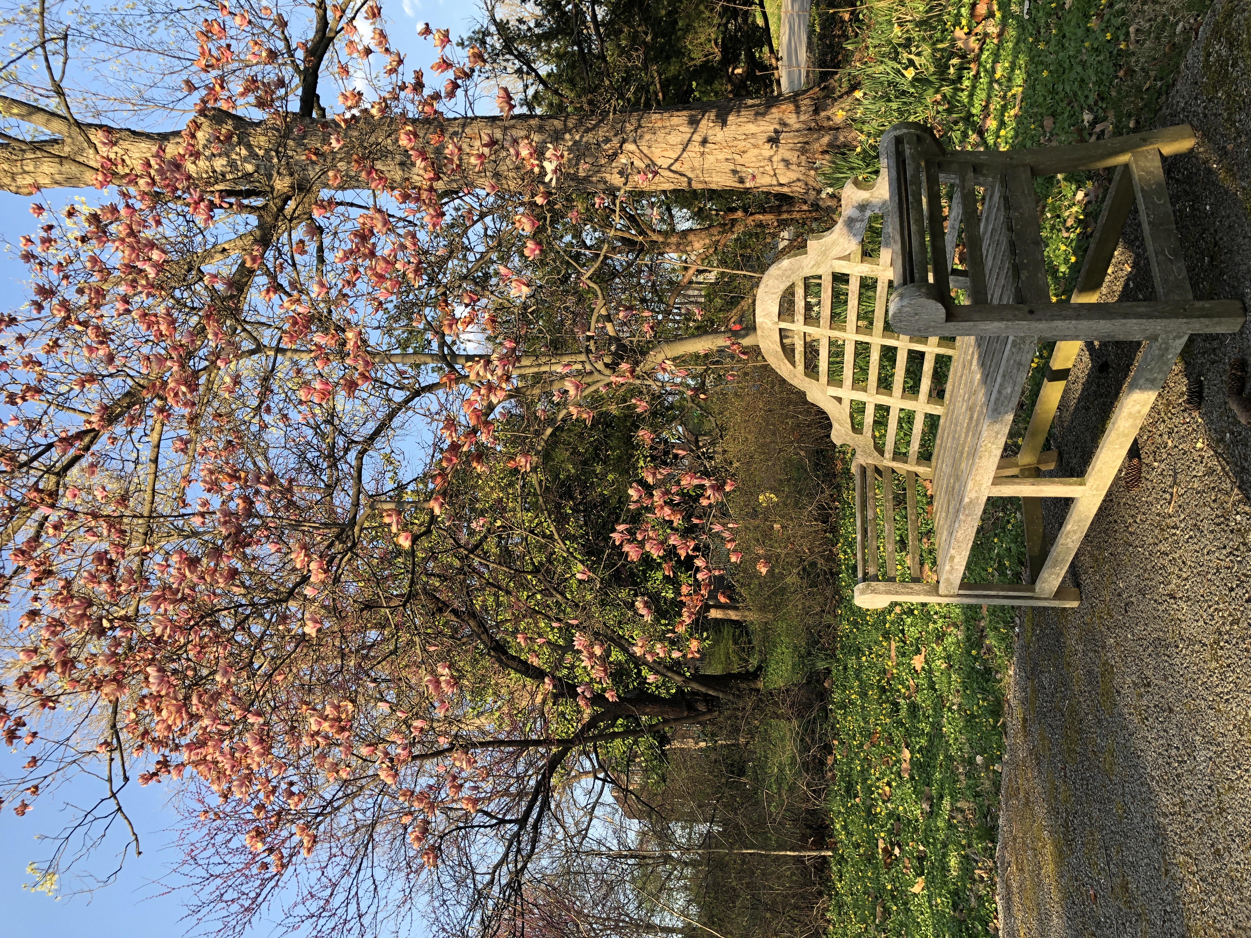 Hauck Botanic Garden - Cincinnati Parks