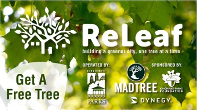 Apply for a Free Tree - It's Fall ReLeaf Time!