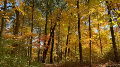 Escape the Cold with Explore Nature!