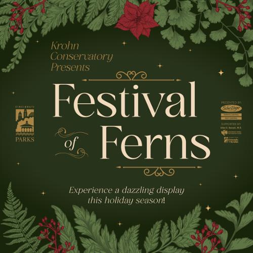 Krohn Conservatory's Holiday Show: Festival of Ferns