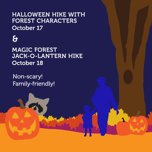 Magic Forest Halloween Hike at Caldwell Nature Center