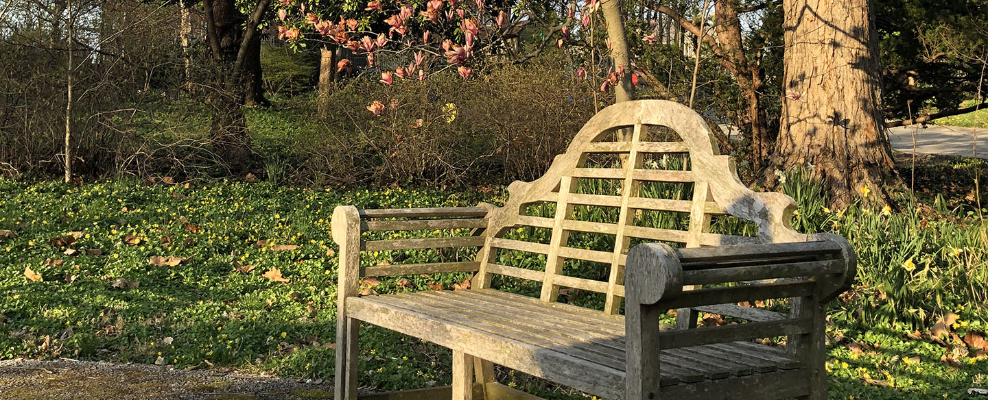 Sitting Area In Hauck Botanic Garden
