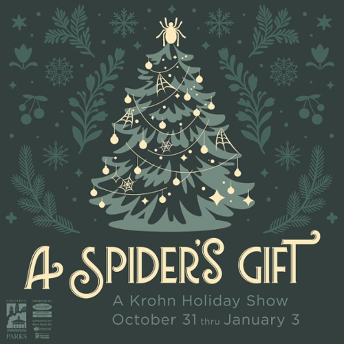 A Spider's Gift