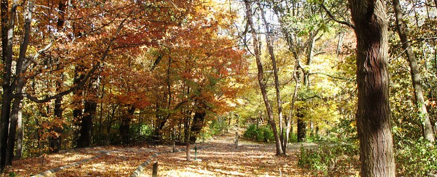 Hiking Trail At Caldwell Nature Preserve