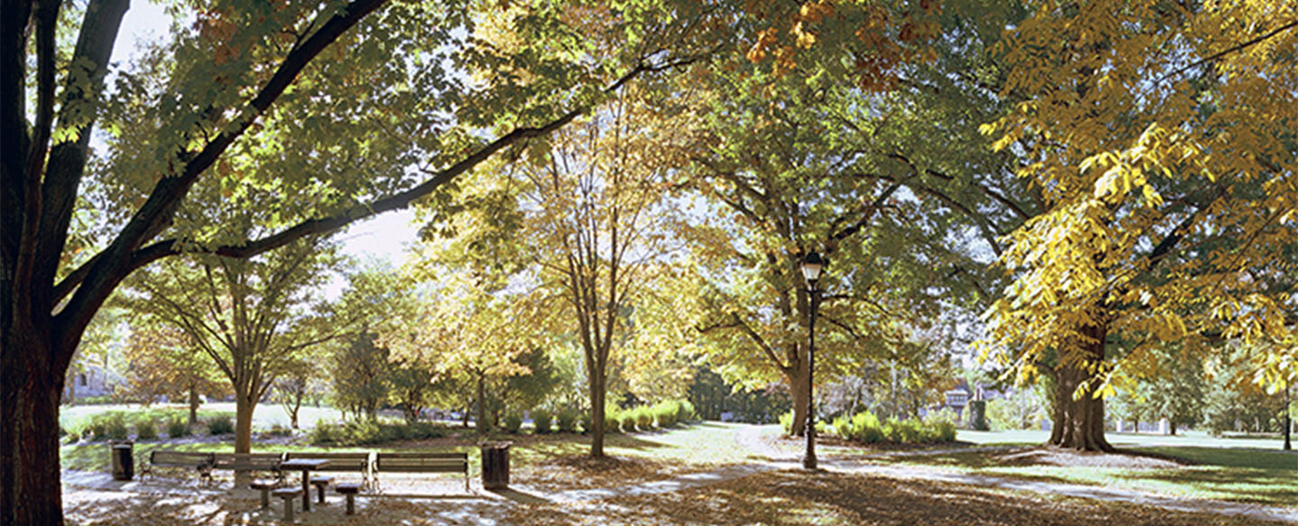 Autumn Day In Fleishmann Gardens Photographed By Tom Schiff