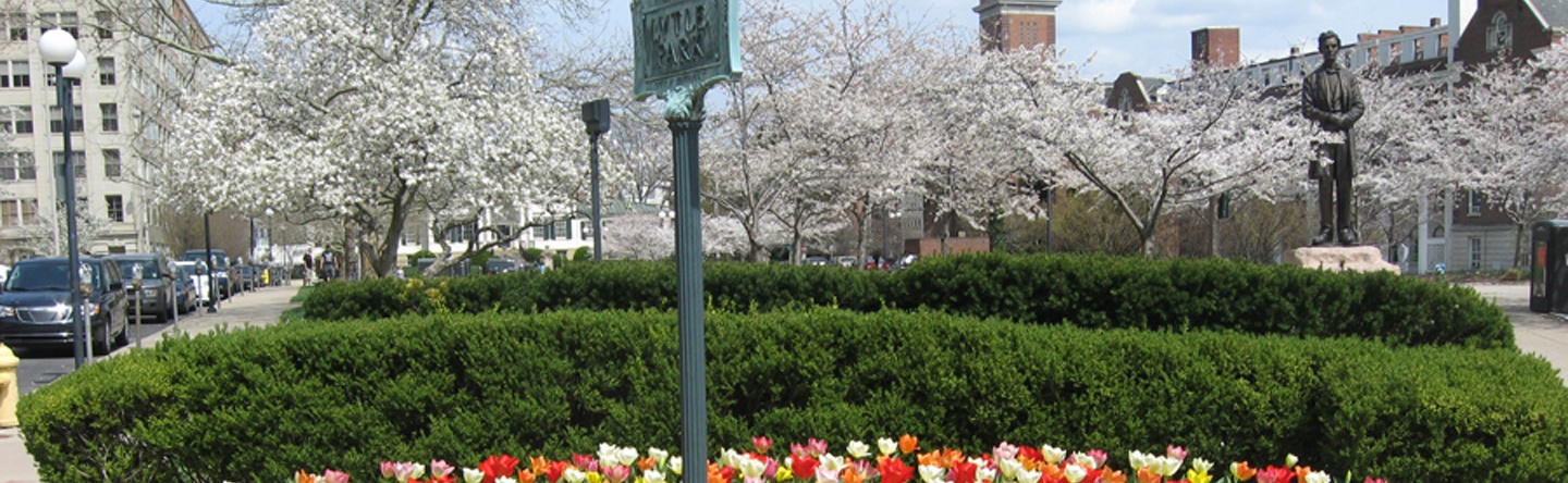 Tulip and Cherry Blossom Trees at Lytle Park