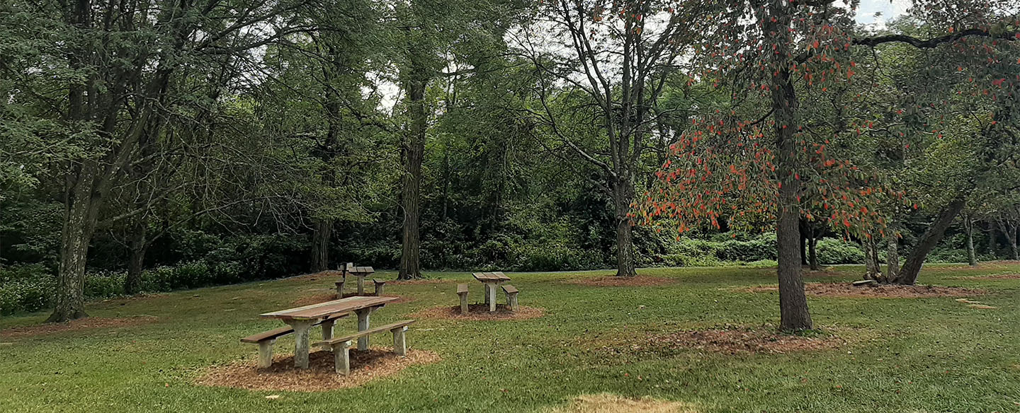 Picnic Area At Daniel Drake Park