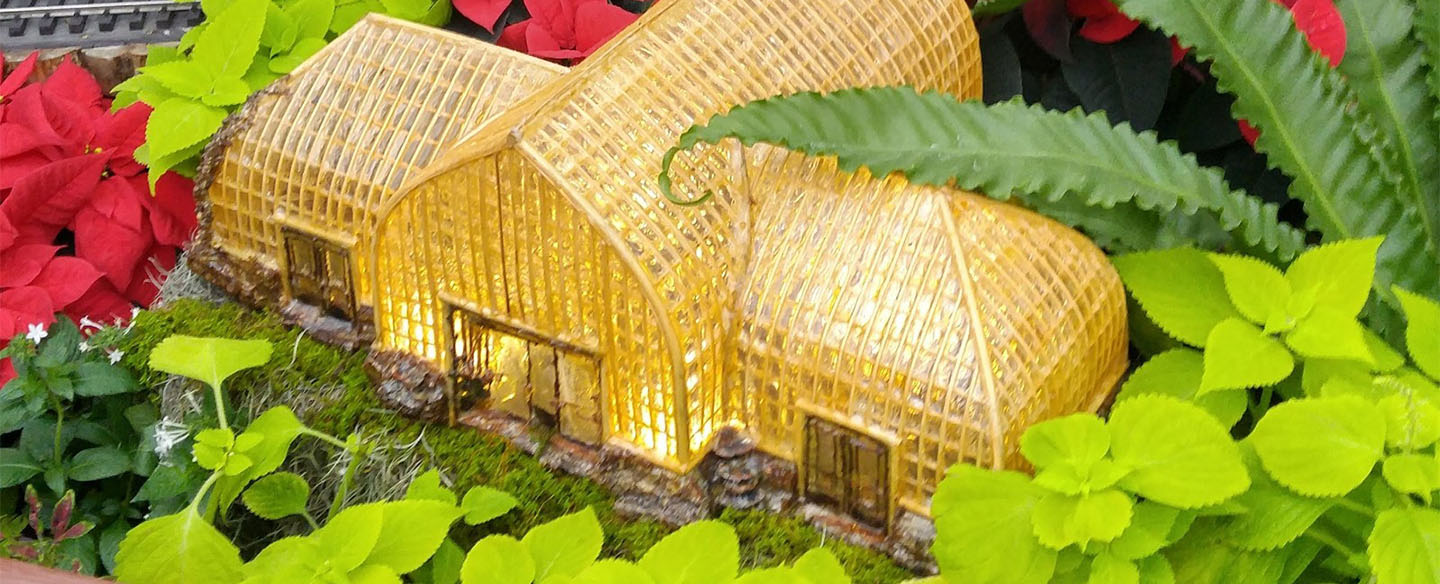Krohn Conservatory - Cincinnati Parks