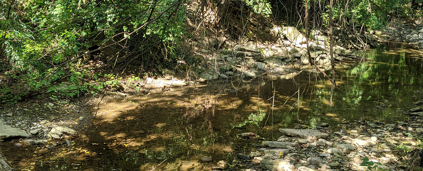 Little Duck Creek next to Trail