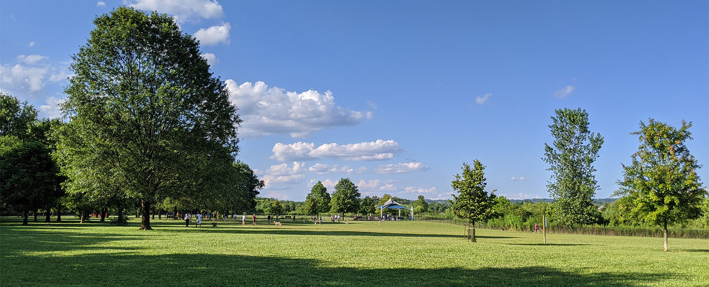 Dog Park at Otto Armleder