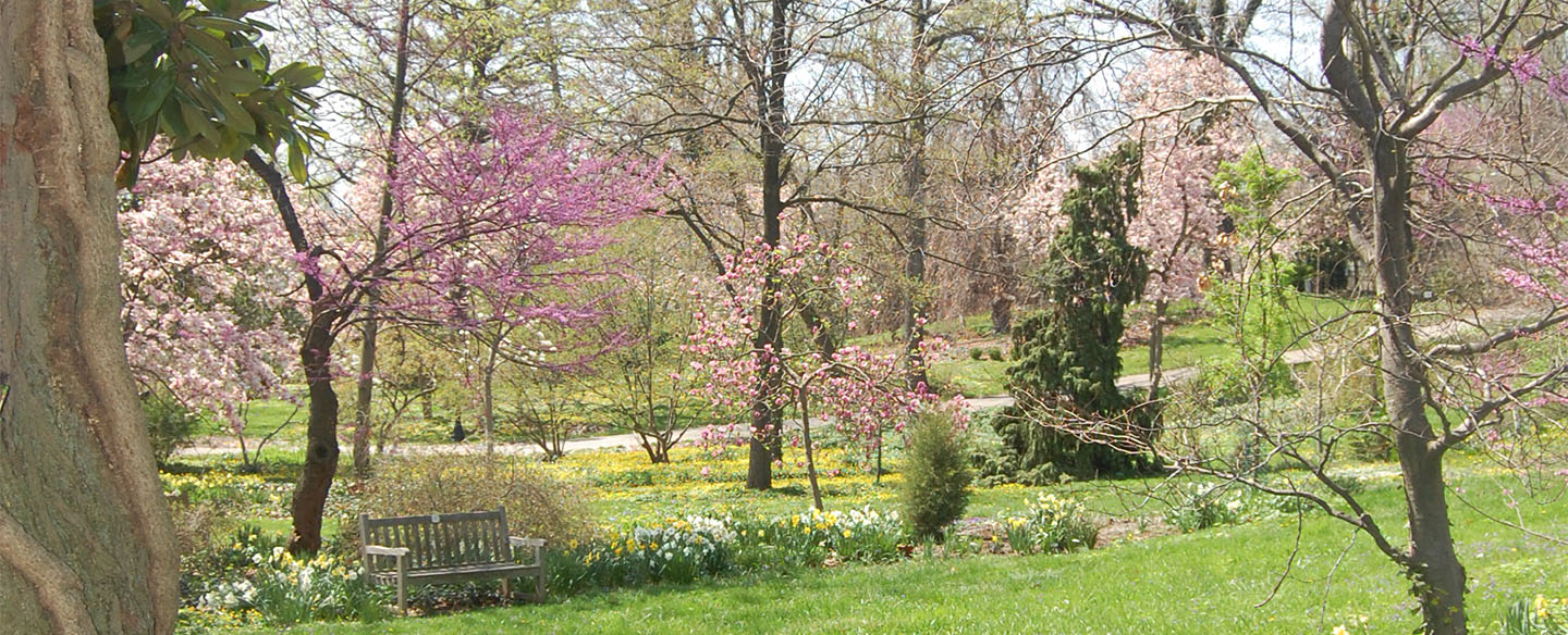 Hauck Botanic Garden In Spring