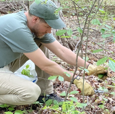 Garlic Mustard Removal
