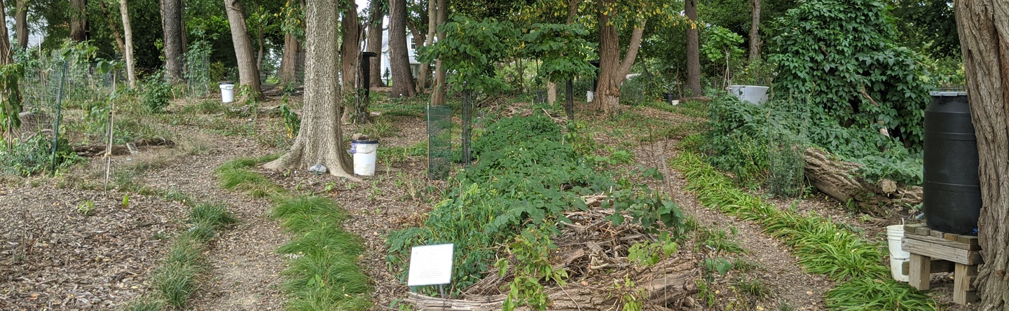 Community Plots at Johnson Woods