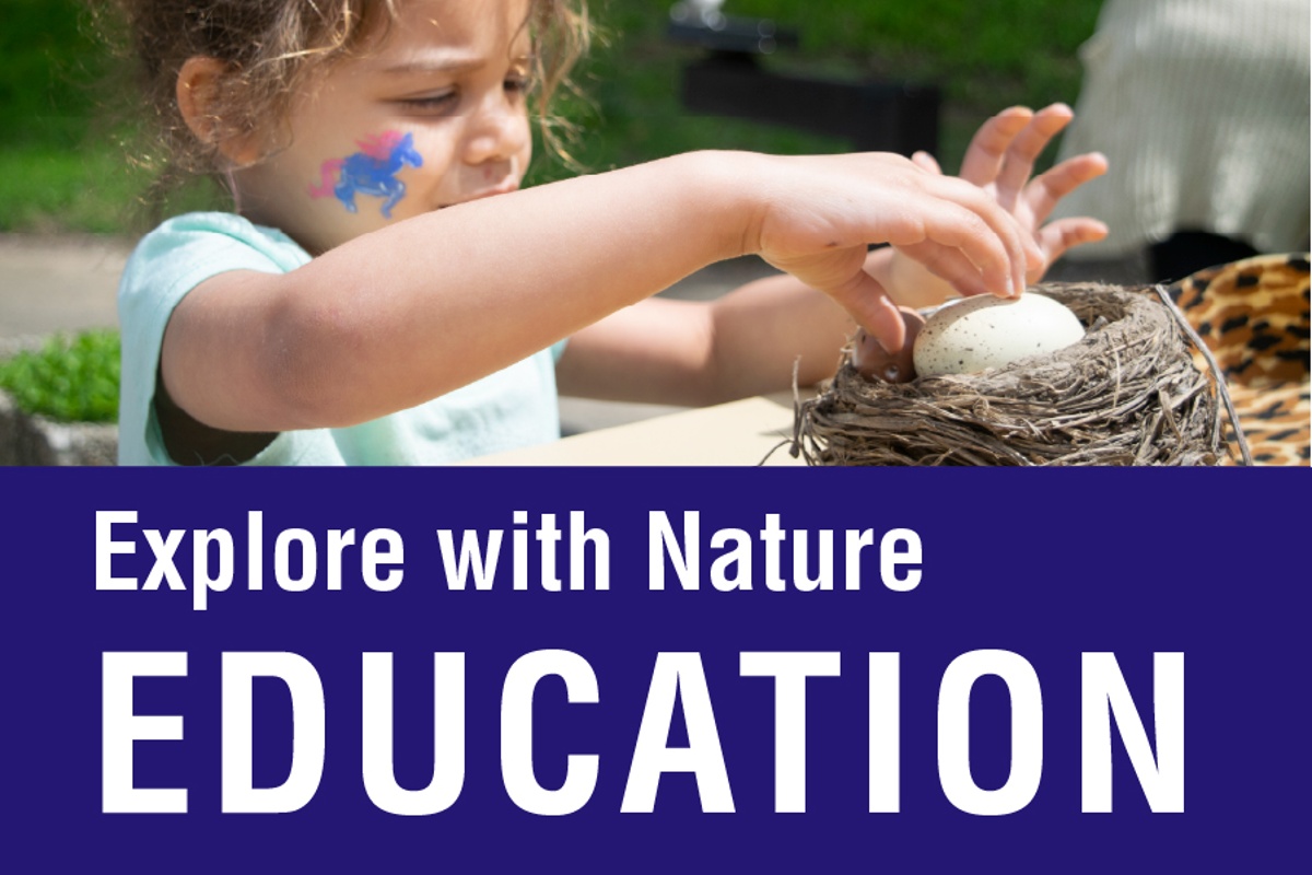 Nature Education