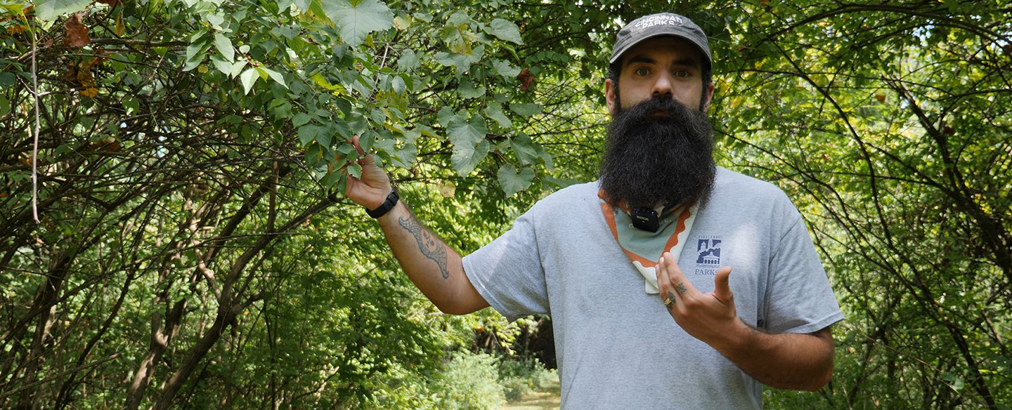 Cincy Parks Discusses Invasive Plants at Potters Field
