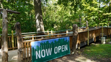 Everybody's Treehouse in Mt. Airy Forest Reopens
