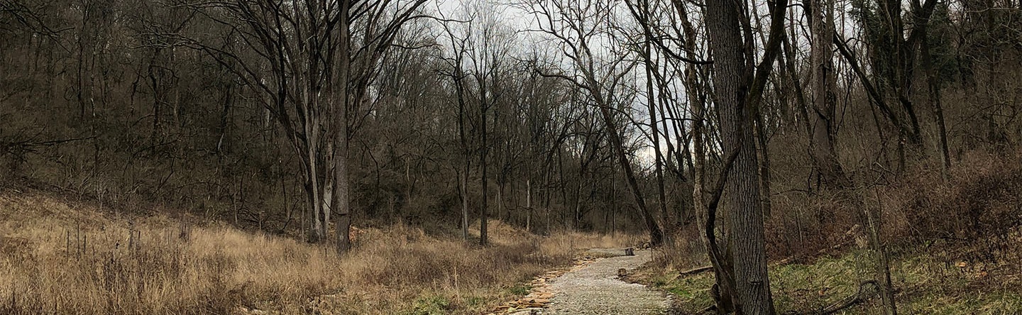 Wetland & Hiking Path At Glenway Woods