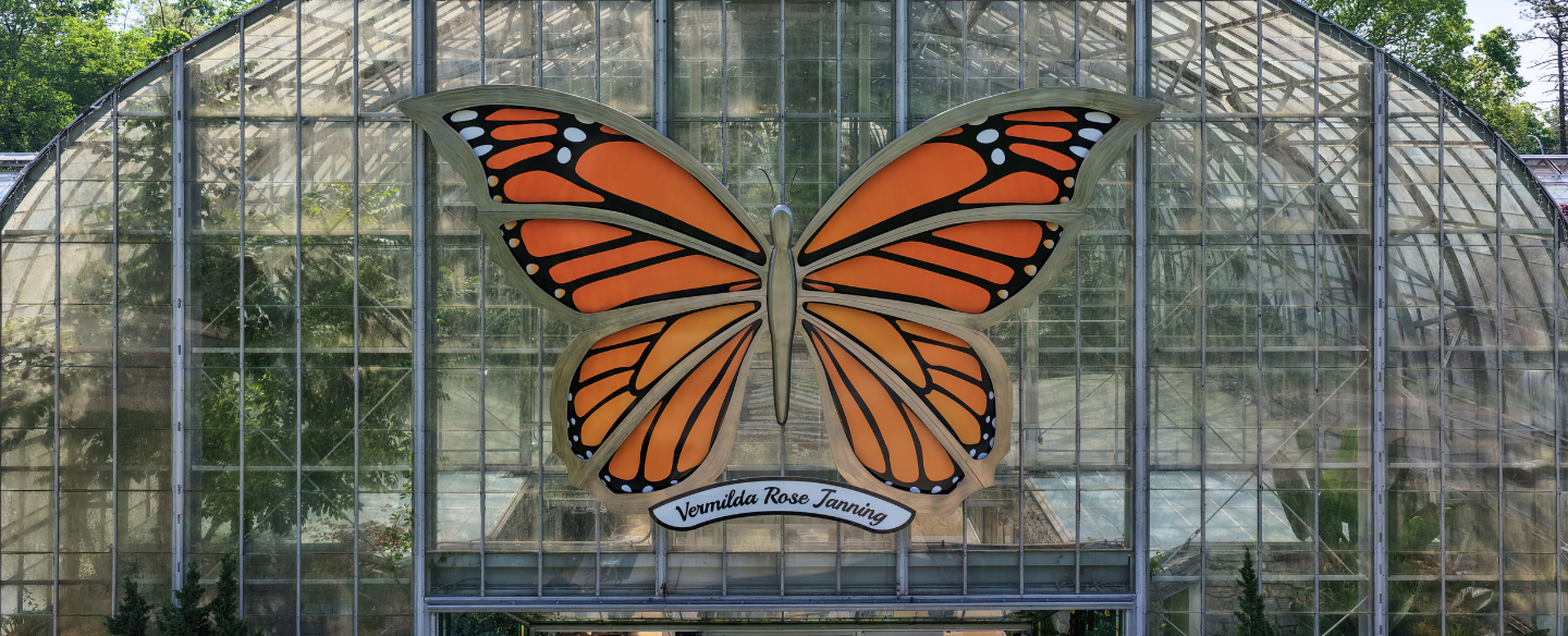 Butterfly Show at Krohn Conservatory