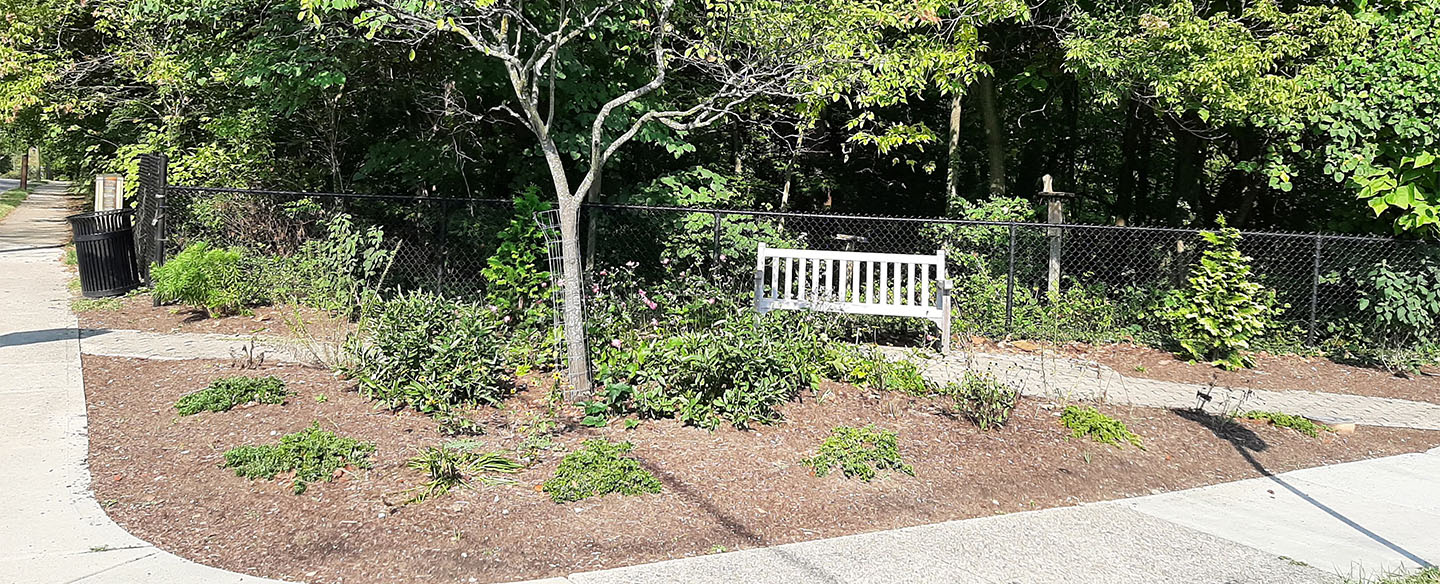 Bird Watching Bench outside of Rawson Woods