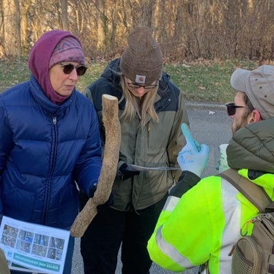 Winter Vine ID Training