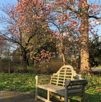 Hauck Botanic Garden