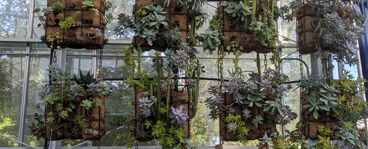 Krohn Conservatory - Cincinnati Parks