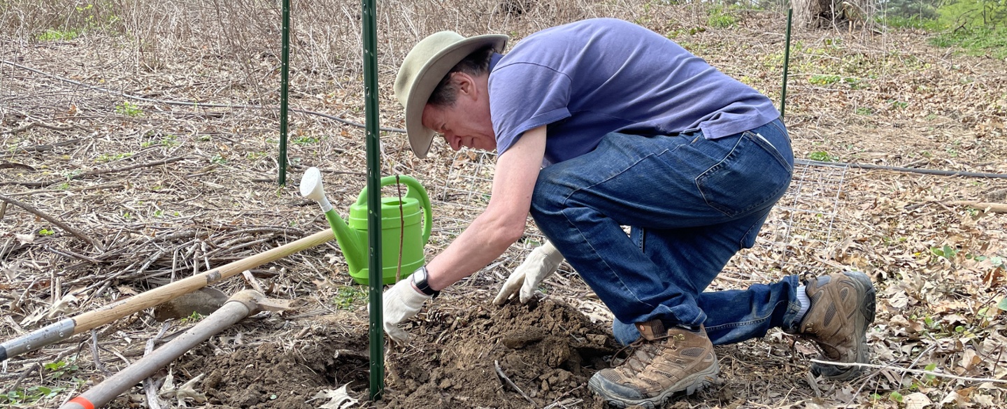 Planting Native Trees & Shrubs