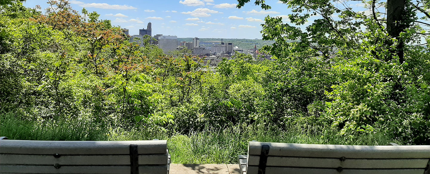 Jackson Hill City View