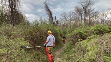 22-Acre Habitat Restoration Project Begins in French Park
