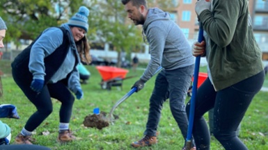 Cincinnati Parks & MadTree Brewing Planting Trees With A Purpose