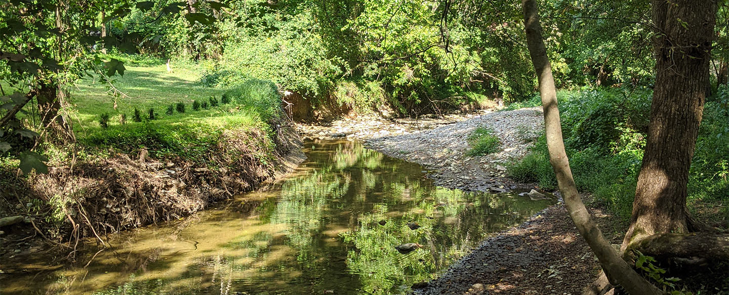 Creek at Little Duck Creek Trail