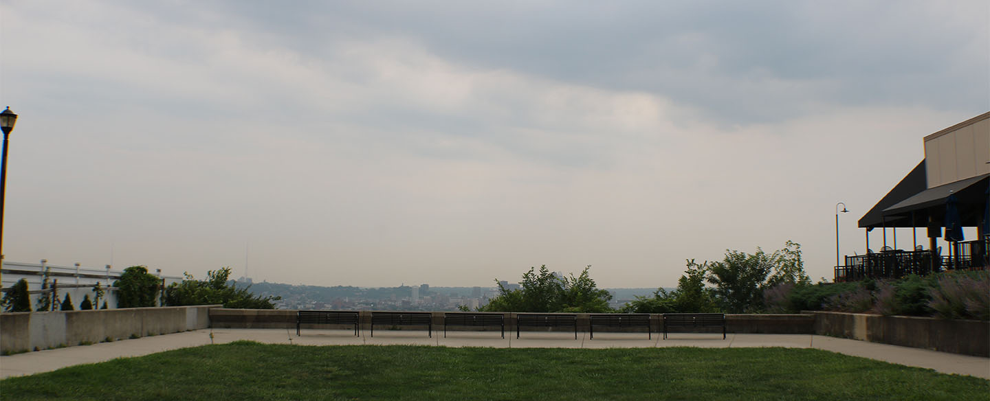 Grassy Area At Olden View Park