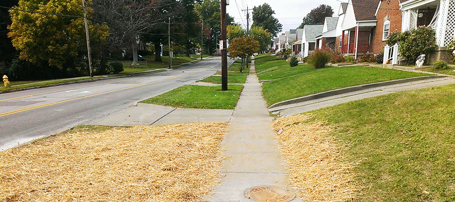 Sidewalk Repair
