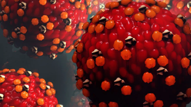 PUBLIC HEALTH ALERT: Measles Exposure Reported at Cincinnati Children's Monday Evening