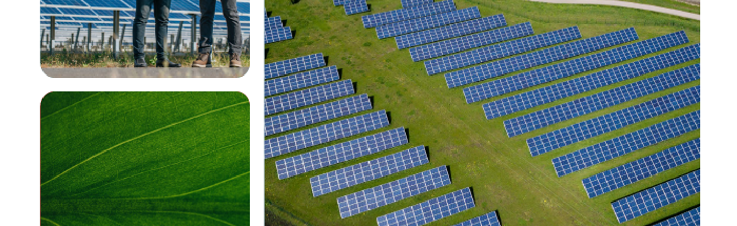Green Workforce Landscape Report Released