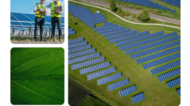 Green Workforce Landscape Analysis Report Released