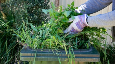 Yard Waste Program Resumes April 7